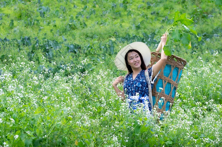 摘萝卜的年轻农民图片