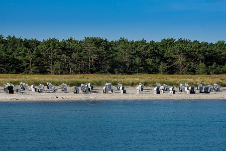 海边岸上的沙滩椅图片