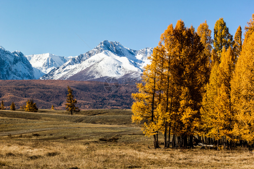 雪山秋季风景图片