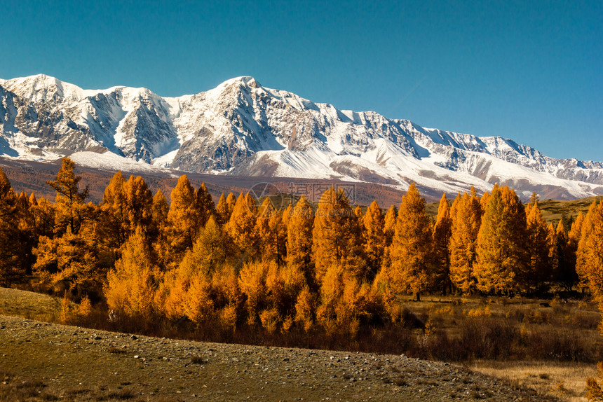 雪山下的秋季风光图片
