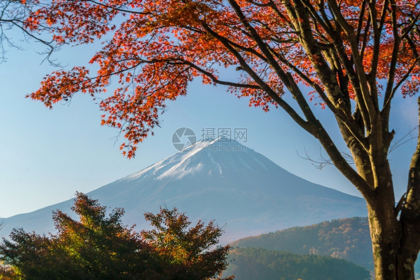 自然河口乡秋天在日本川口江湖的藤田山带红树叶十一月图片