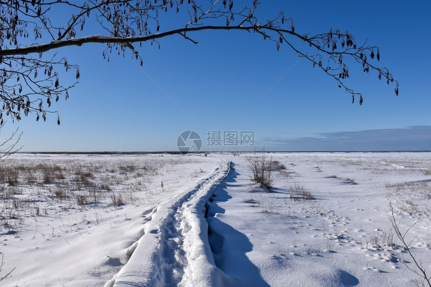 瑞典奥兰岛Beijershamn在瑞典自然保护区的荒原沼泽地中小路一月仙境霜图片