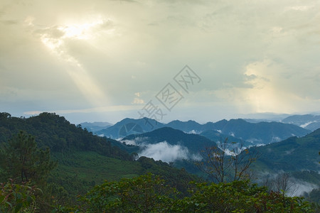 天空林繁盛的山地群落在黑暗附近的夜空中阳光草背景图片