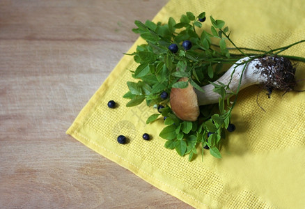 黄色的配料夏天蓝莓树丛和一只小白蘑菇它们躺在黄布巾纸上一个旧木板表面图片
