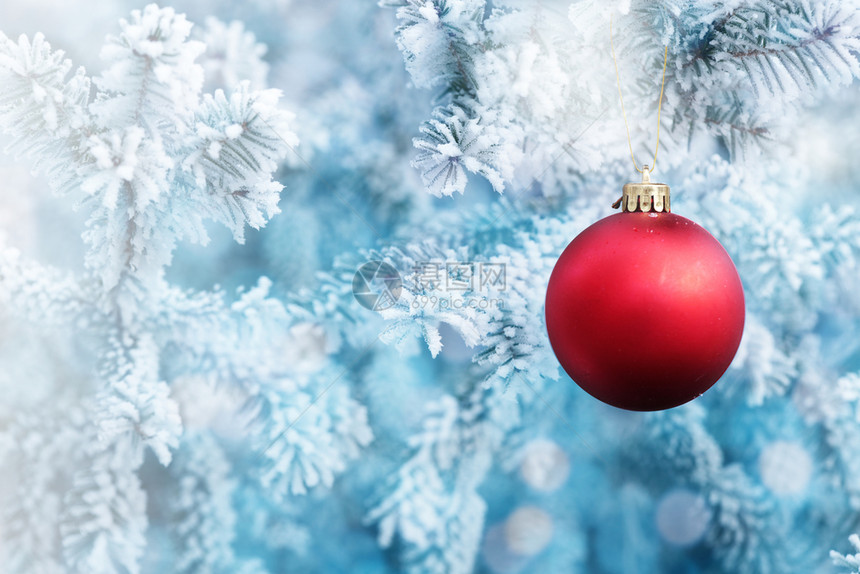 蓝色的圣诞红球在雪地冬季森林的树枝上挂着闪亮的庆典图片