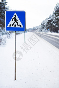 街道插图沥青冬季雪松林中的柏油步行道冰冻日冬季雪松林中的柏油步行道图片