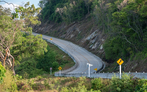 热带雨林山路转弯缠绕叶子图片