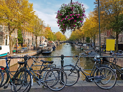 日落秋季从荷兰阿姆斯特丹到荷兰的城市风景外部季节图片