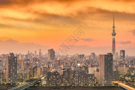 城市景观地点日本落时东京城市天际河图片