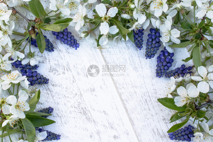 盛开花园艺白色木板上的一束蓝色铃铛上面有白色的樱桃花铃铛从上面查看文本的地方一束蓝色的铃铛在白木板上铃铛图片