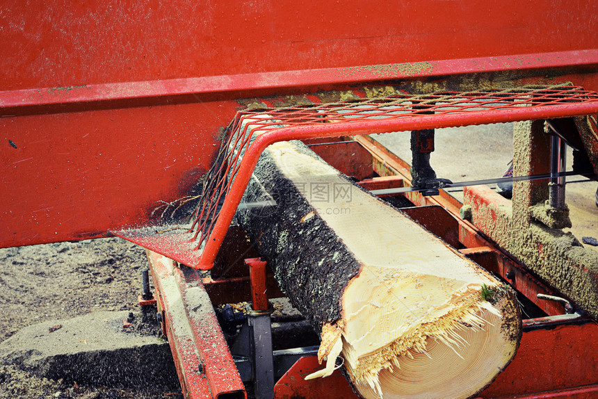 日志在锯木厂砍伐的树叶关于剪切木材板的细节农村生态图片