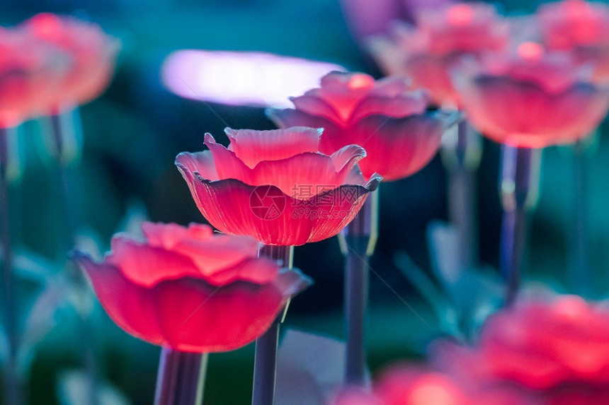 叶子灯光被装饰成花朵在节日的夜晚创造美丽光芒銮庆典图片