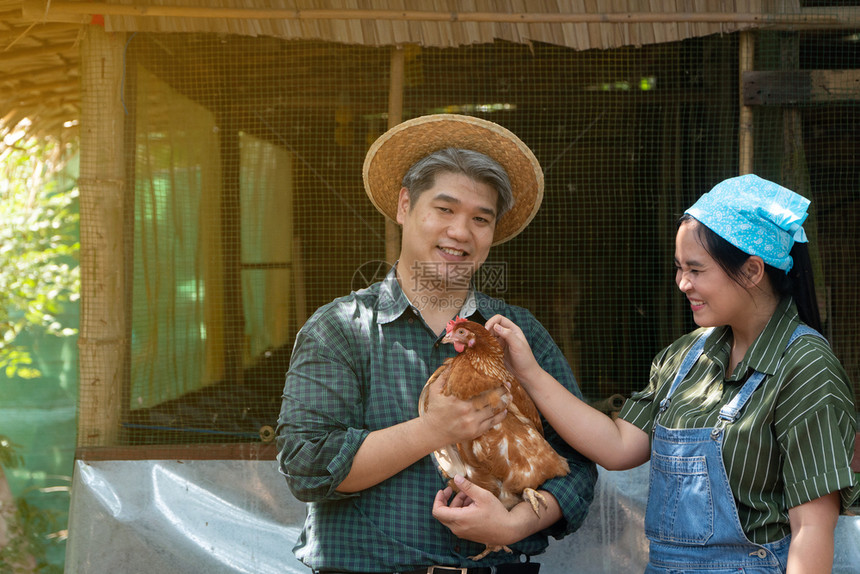 夫妻在鸡蛋养场工作男人拿着母鸡看上去既快乐又健康草两个都绿色图片