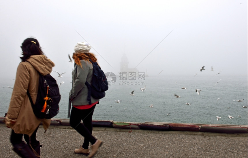 历史土耳其伊斯坦堡喷雾中的鸟和月亮塔有雾旅游图片