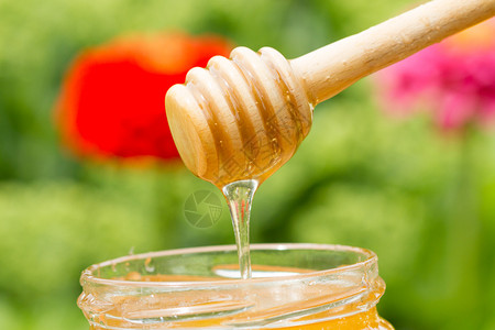 蜂蜜在一根棍子上的玻璃罐中流动甜点开花粉色的图片