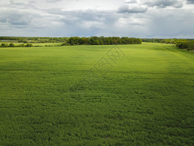 如画土地草原春季时在一大片绿草或庄稼上方的空中观察图片