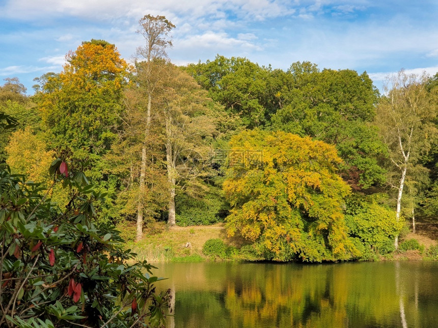 自然西约克郡联合王国利兹郊外美丽的秋天树木叶和池塘景观橙英国的图片