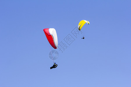 臭鼬空气降落伞在蓝天空滑翔以背景极端运动为图片