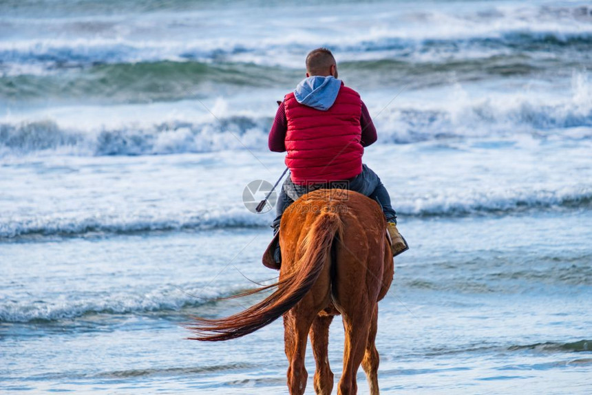 骑士美丽的阿克代尼兹男人在塞浦路斯AyiaErini海滩的中骑着棕色快马对准粗海图片