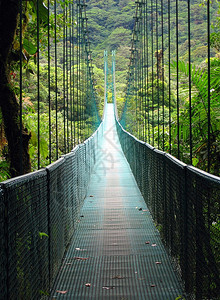 云雾中的桥荒野夏令风景优美季哥斯达黎加风景中的热带自然在哥斯达黎加背景