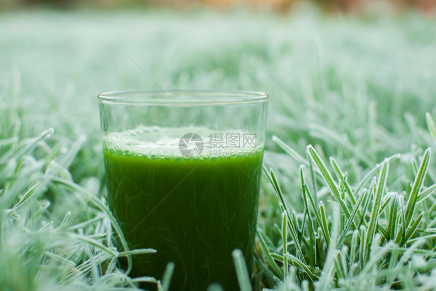 冷冻的草地上有机绿色脱毒果汁菠菜食物春天图片