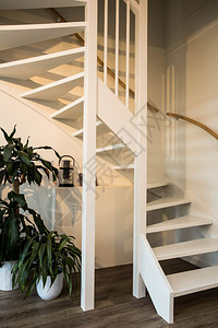 住宅扶手白色的配有现代绿植物设计的木材和白墙上色楼梯图片