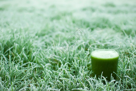 新鲜喝冷冻的草地上有机绿色脱毒果汁活力图片