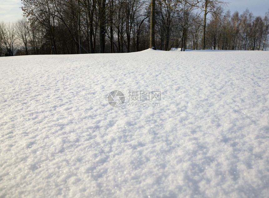 如画冬季雪和在漂流寒冷的天气风霜严寒候景观下树木在冬季雪下枯萎晴天木头图片