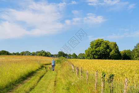 豪华轿车男人在法国新华利州绿山的风景中走着狗行步车道图片