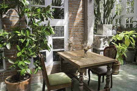 锅家具室内装饰绿色生态环境风格股票照片和图人们图片
