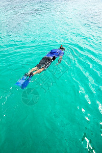 蓝水中的Scuba潜水员人们海葵运动图片