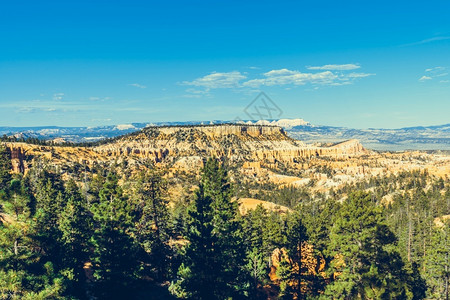 美国犹他州布莱斯峡谷公园著名的日出旅游图片