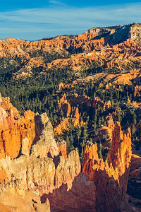 夏天红色的旅游美国犹他州布莱斯峡谷公园图片