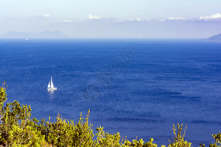 风景绿松石树海中的白色帆船夏季自然背景海中的白色帆船图片