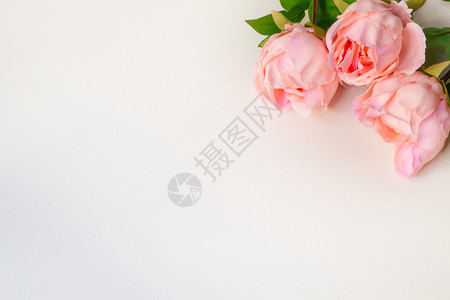 快乐的母亲卡片白色空背景的粉红皮尼人造花朵最佳视图图片