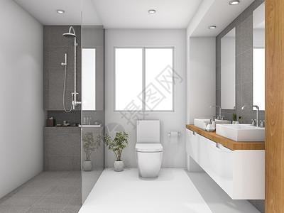 冲厕厕当代的3d提供最起码的木头和石灰白色洗手间干净的设计图片