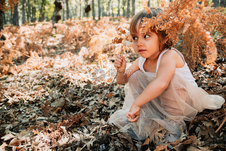 可爱的想像力小caucasians幼女孩坐在森林里与植物一起玩耍请享用图片