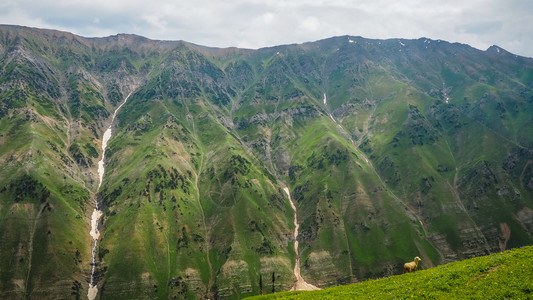 旅游查谟和克什米尔邦Sonamarg美丽的山地景观声纳玛格爬坡道图片