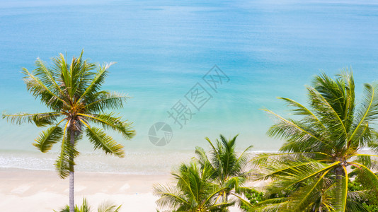 绿松石冷静的海岸线空中观望热带自然天堂岛的棕榈海滩图片