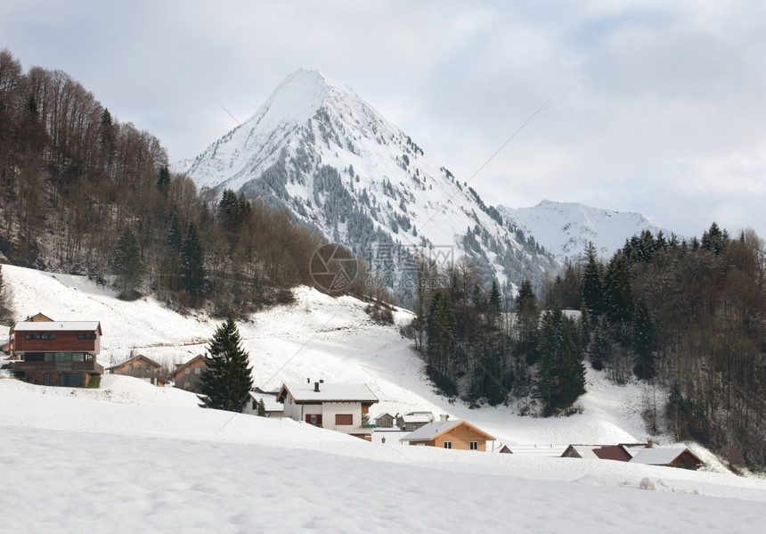 冷杉美丽在奥地利Mellau附近的寒冷高山日冬季的景象爬坡道图片