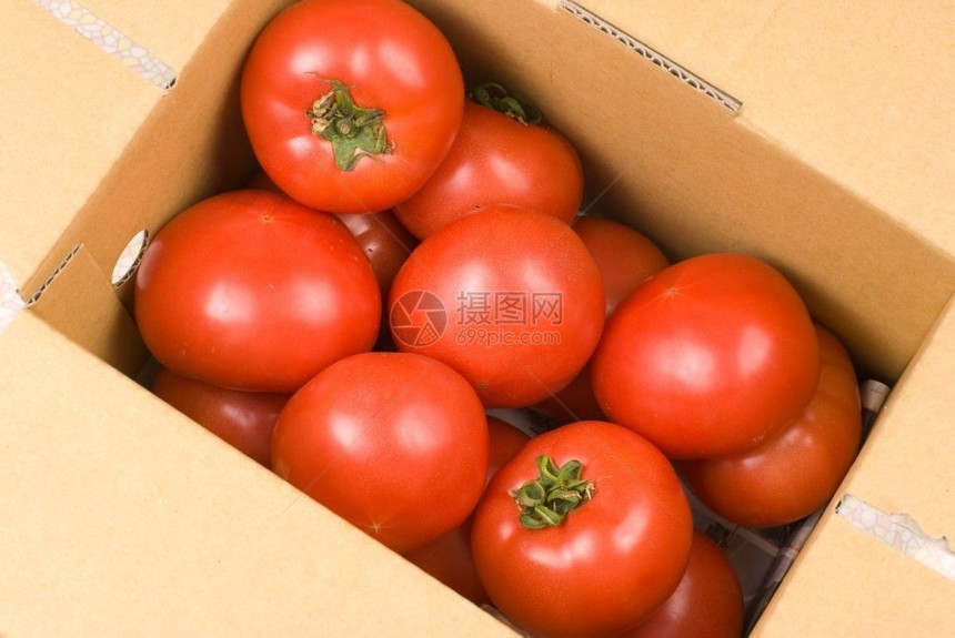 生的饮食可口纸箱中新鲜红番茄供出售图片