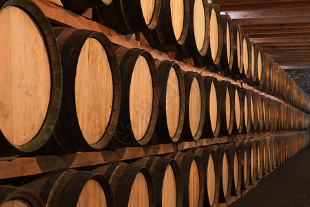 酒窖中的桶按顺序排列精橡木葡萄园图片
