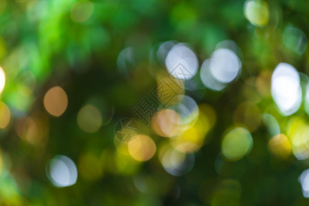 绿色树叶圆环明亮的季节带有圆环绿色bokeh背景夏季抽象主题圆圈背景