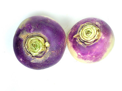 大头菜白色背景的紫领头萝卜背面露发蔬菜食谱图片