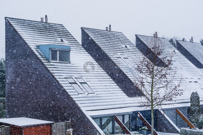白色的降雪现代荷兰尖顶屋覆盖积雪冬季时有现代邻居荷兰寒冷的风天气在荷兰语图片