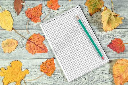 多彩秋叶和空白笔记本背景图片