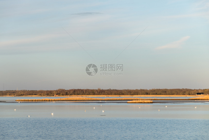 在波罗的海瑞典群岛奥兰海岸附近与白鸟和鱼一起建立美丽的宁静海湾支撑湖鸟类图片