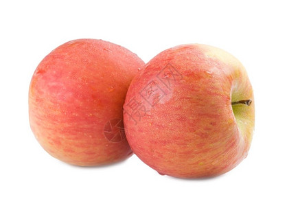 两个新鲜的苹果在白色背景上又往回滴水吃目的甜高清图片