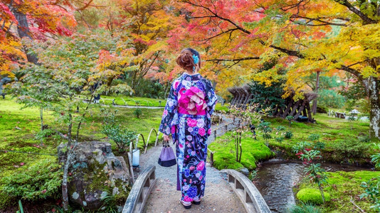 橙紫裙子女孩穿着日本传统和服的亚裔女孩背景