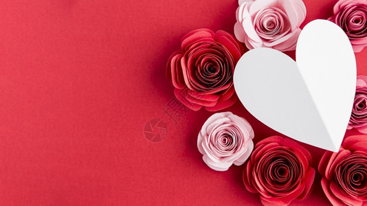 美丽的情人节日概念和玫瑰花天使粉色的浪漫图片